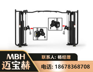 阜阳大飞鸟训练器