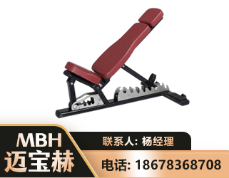 阜阳可调哑铃椅